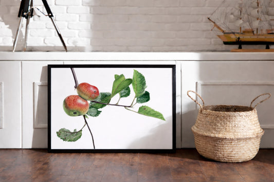 handgemalte botanische Ilustration eines Aqpfelzweigs als Kunstdruck