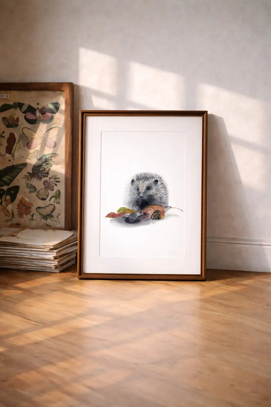 Igel Kunstdruck gerahmt in einem Atelier