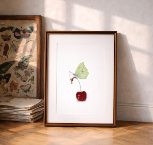 Kirsche auf der ein Schmetterling sitzt in einem rahmen