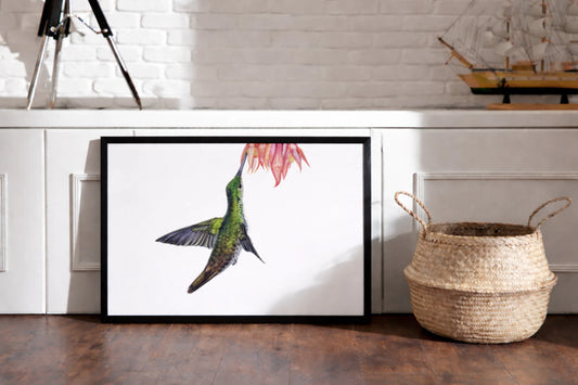 Kolibri als Kunstdruck in einem Rahmen auf dem Boden an eine Sitzbank gelehnt