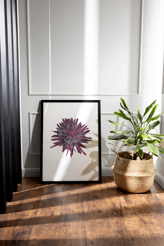 Dahlie Kunstdruck eines Aquarells