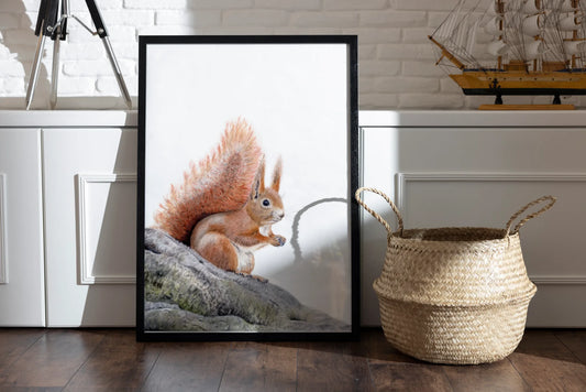 Eichhörnchen Kunstrduck gerahmt in einem Raum circa DIn A3