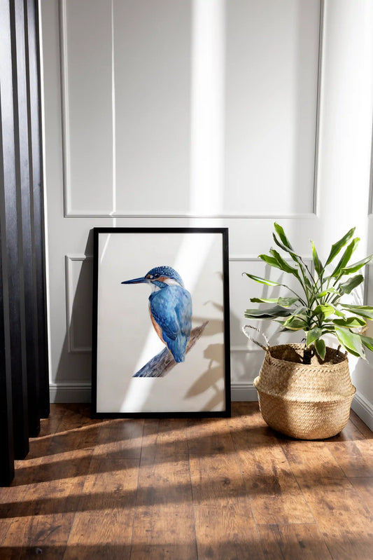 Vogel Illustration eines Eisvogels