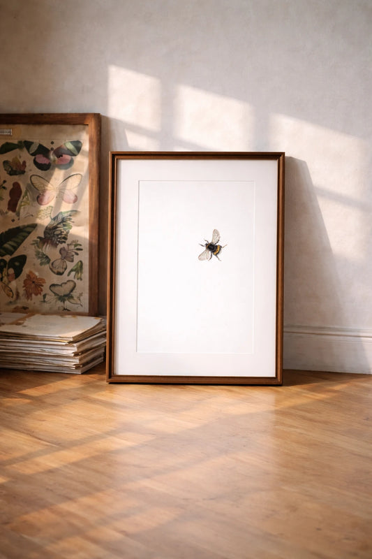 Hummel in Aquarell gerahmt auf dem Boden