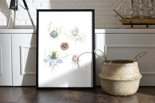 Jungfer im Grünen Kunstdruck im schwarzen Rahmen auf Holzboden neben Korb – Nigella damascena Fine Art Print | Animis