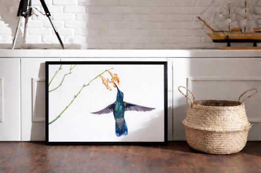 Kolibri als Kunstdruck in einem Rahmen auf dem Boden an eine Sitzbank gelehnt