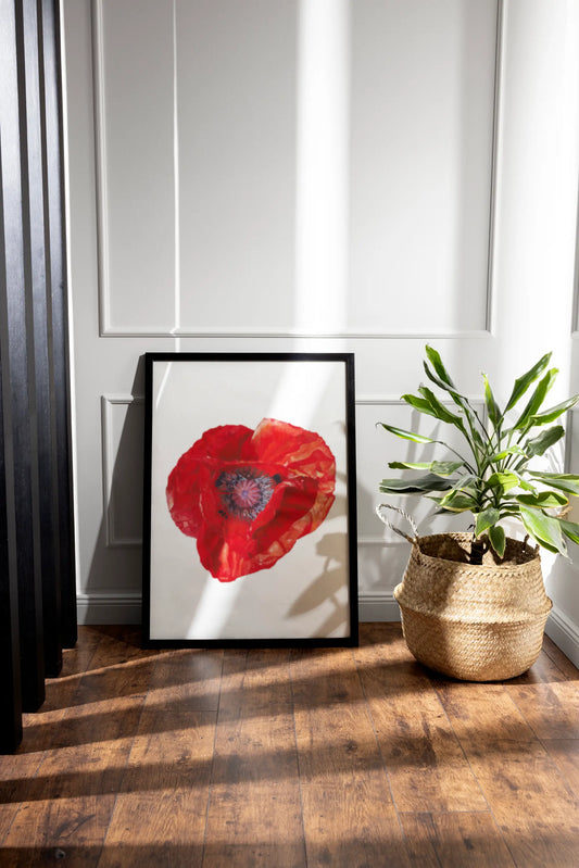 Mohnzeichnung als Kunstdruck
