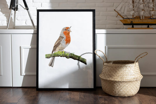 Rotkehlchen Illustration grahmt in einem Wohnzimmer