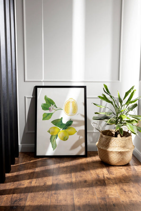 Zitronen botanische Illutration gerahmt als Kunstdruck