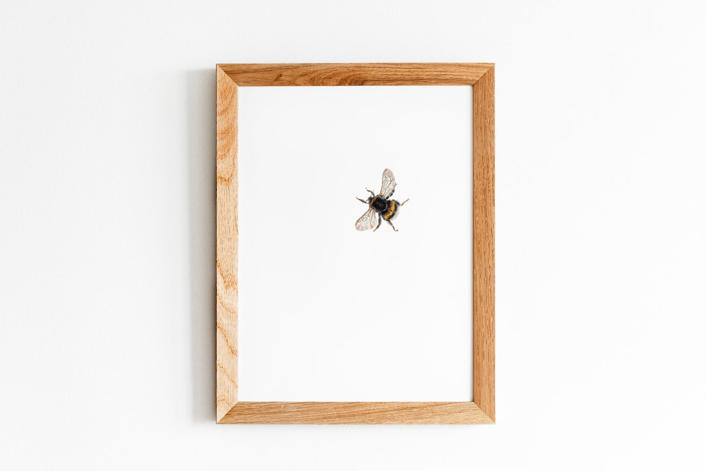 Hummel auf weißem Hintergrund Zeichnung gerahmt 