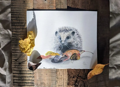 eines handegemalte Illustration eines Igels 