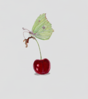 Kirsche auf der ein Schmetterling sitzt detailierte Ansicht