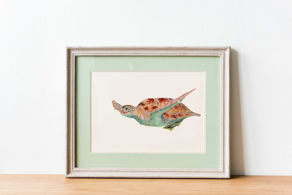 Meeresschildkröte Handgemaltes Aquarell hochwertig reproduziert