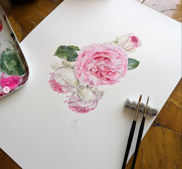 3 Rosen in Aquarell gezeichnet