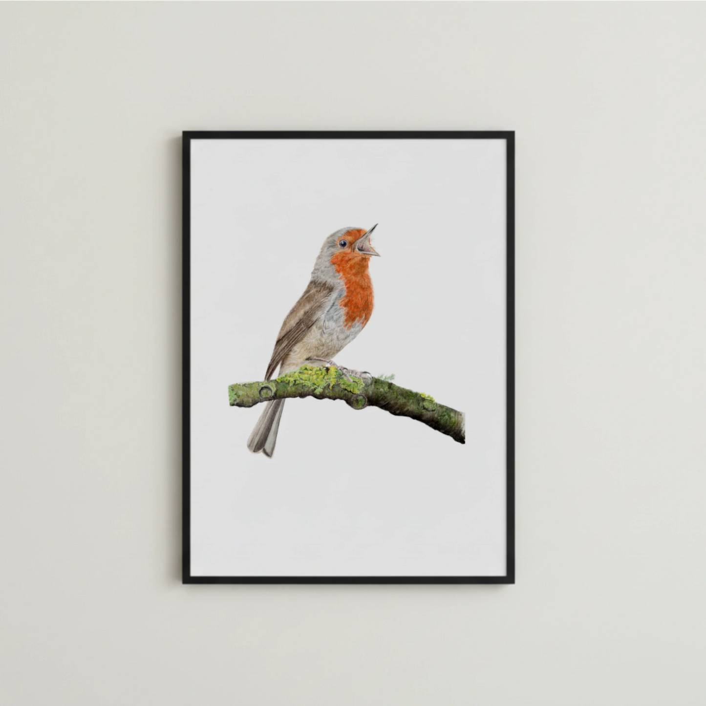 handgemahltes Rotkehlchen Illustration als Kunstdruck