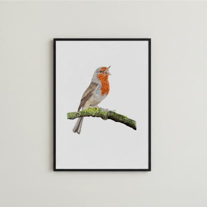 handgemahltes Rotkehlchen Illustration als Kunstdruck