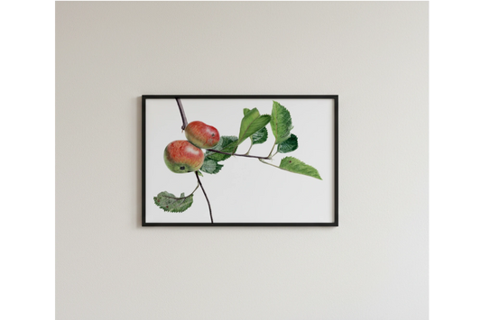 handgemalte botanische Ilustration eines Aqpfelzweigs als Kunstdruck
