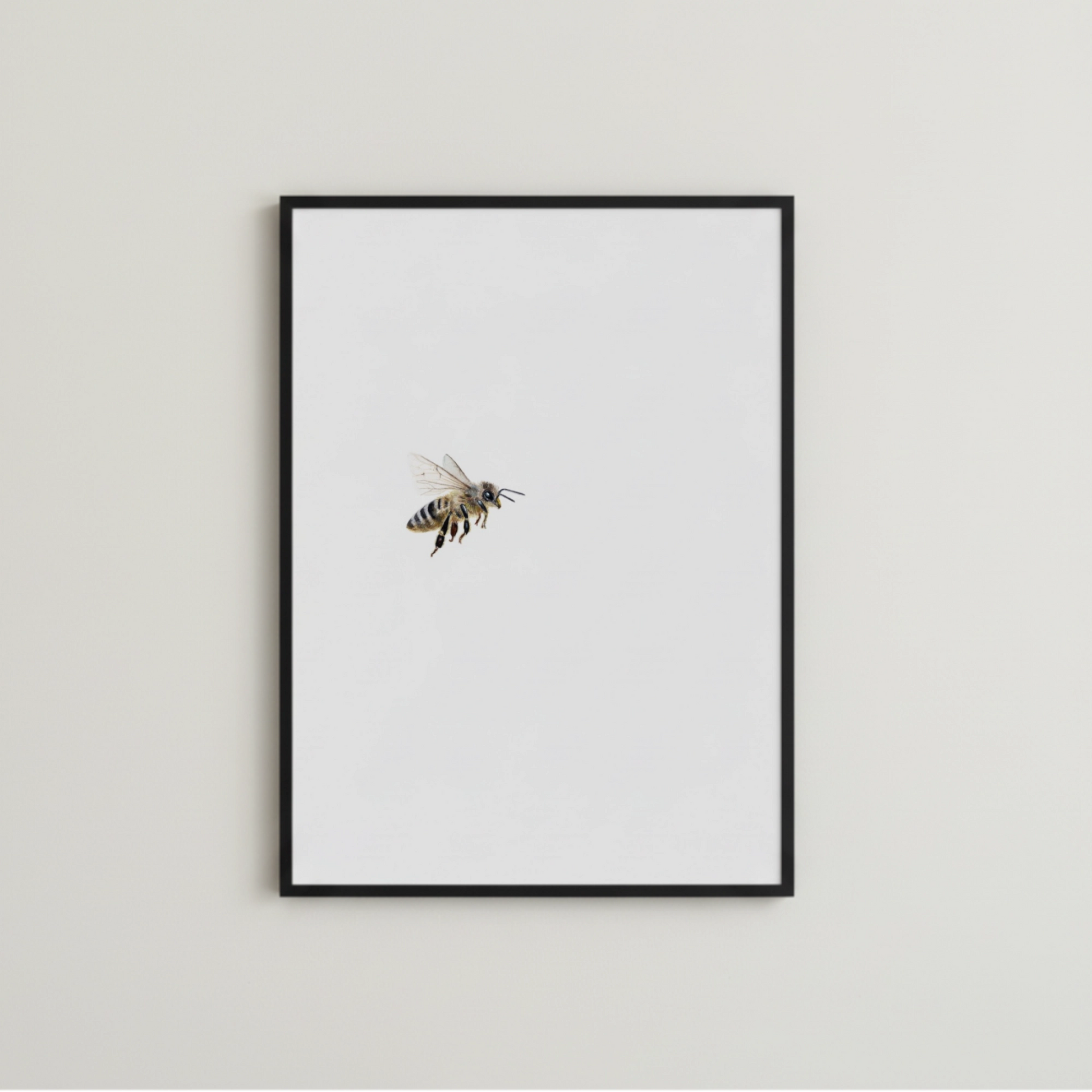 Biene in Aquarell als Fine Art Print