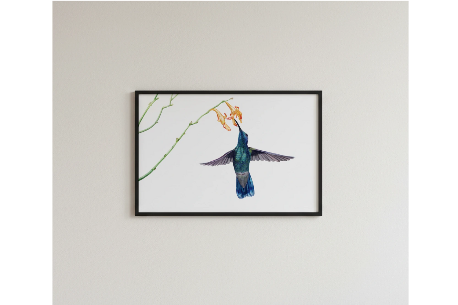 Kolibri im Flug in Aquarell als fine art print