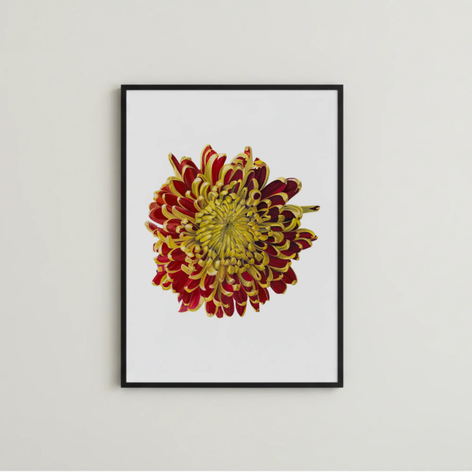 Crysantheme Kunstdruck schlicht gerahmt