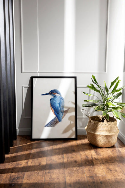 Vogel Illustration eines Eisvogels