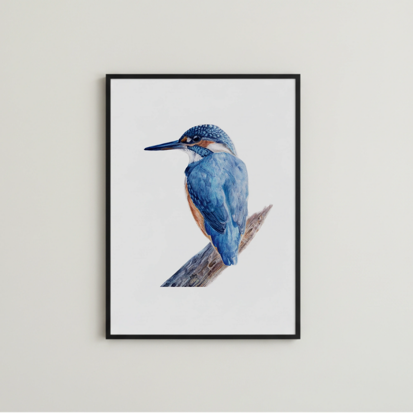 Kunstdruck einer handegemalten Illustraion einers Eisvogels 