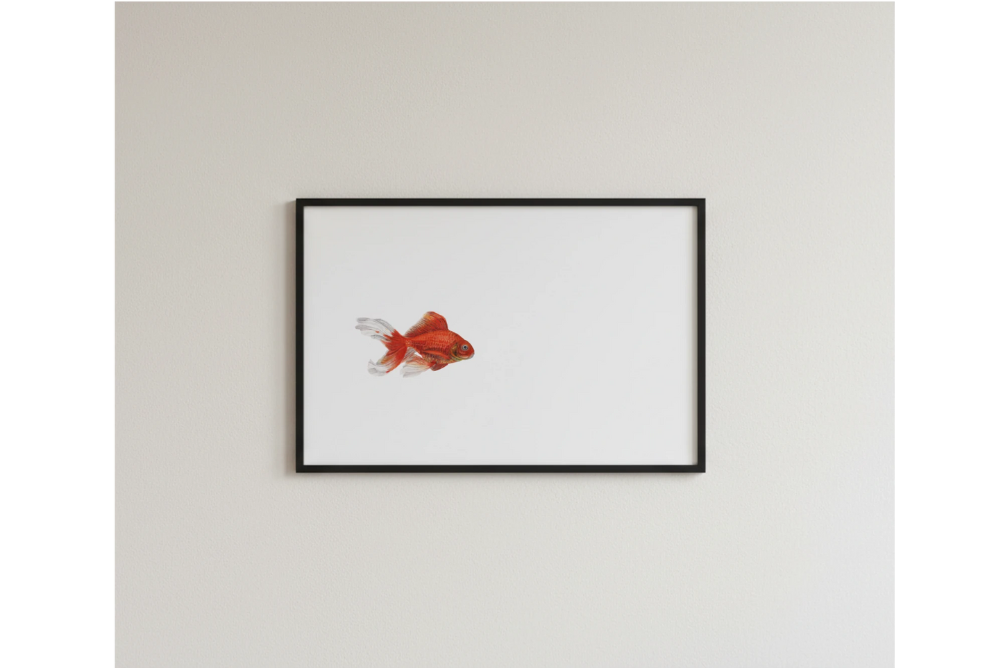 handgemaltes Aquarell von einem  Goldfisch als Kunstdruck 