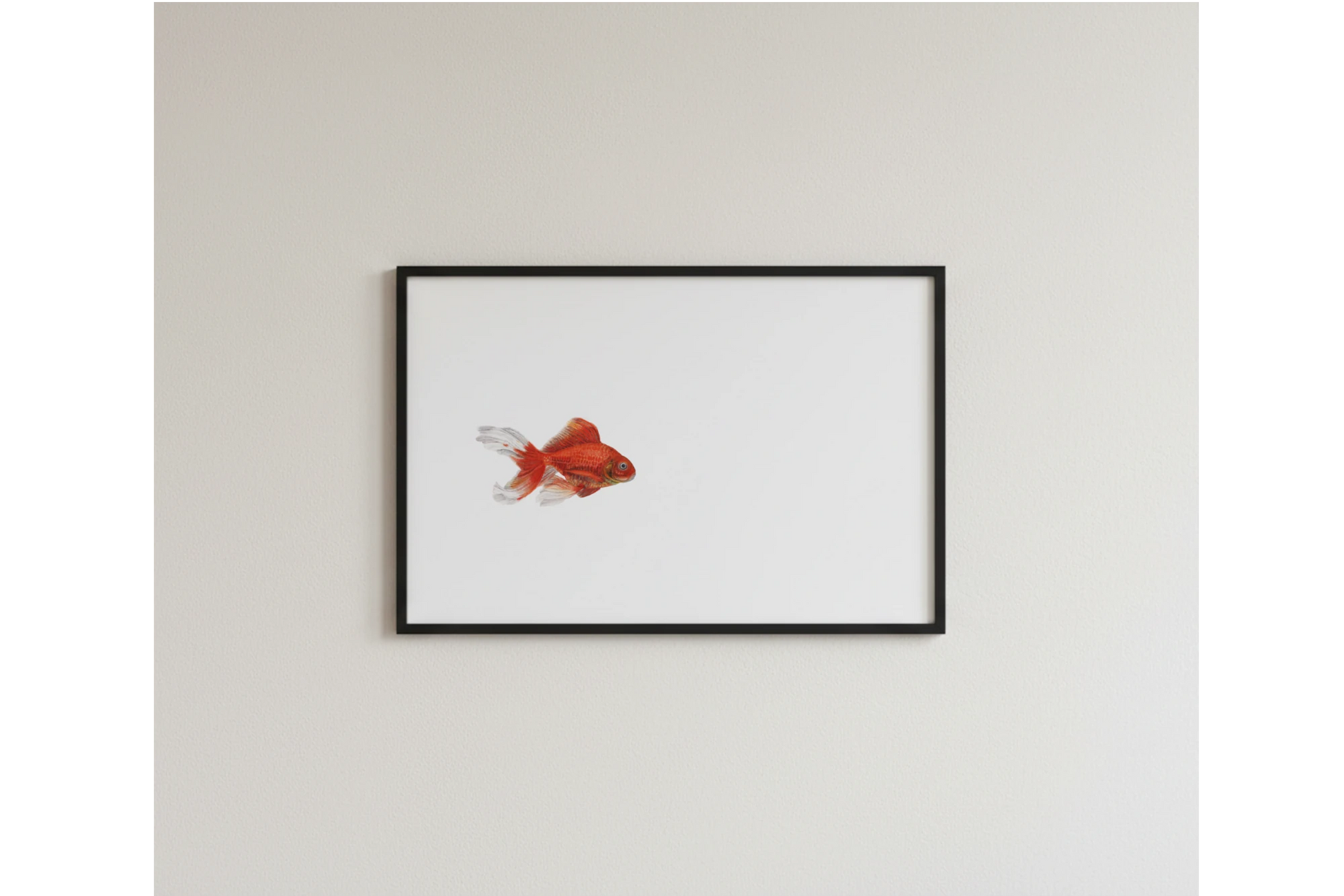 handgemaltes Aquarell von einem  Goldfisch als Kunstdruck 