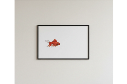 handgemaltes Aquarell von einem  Goldfisch als Kunstdruck 
