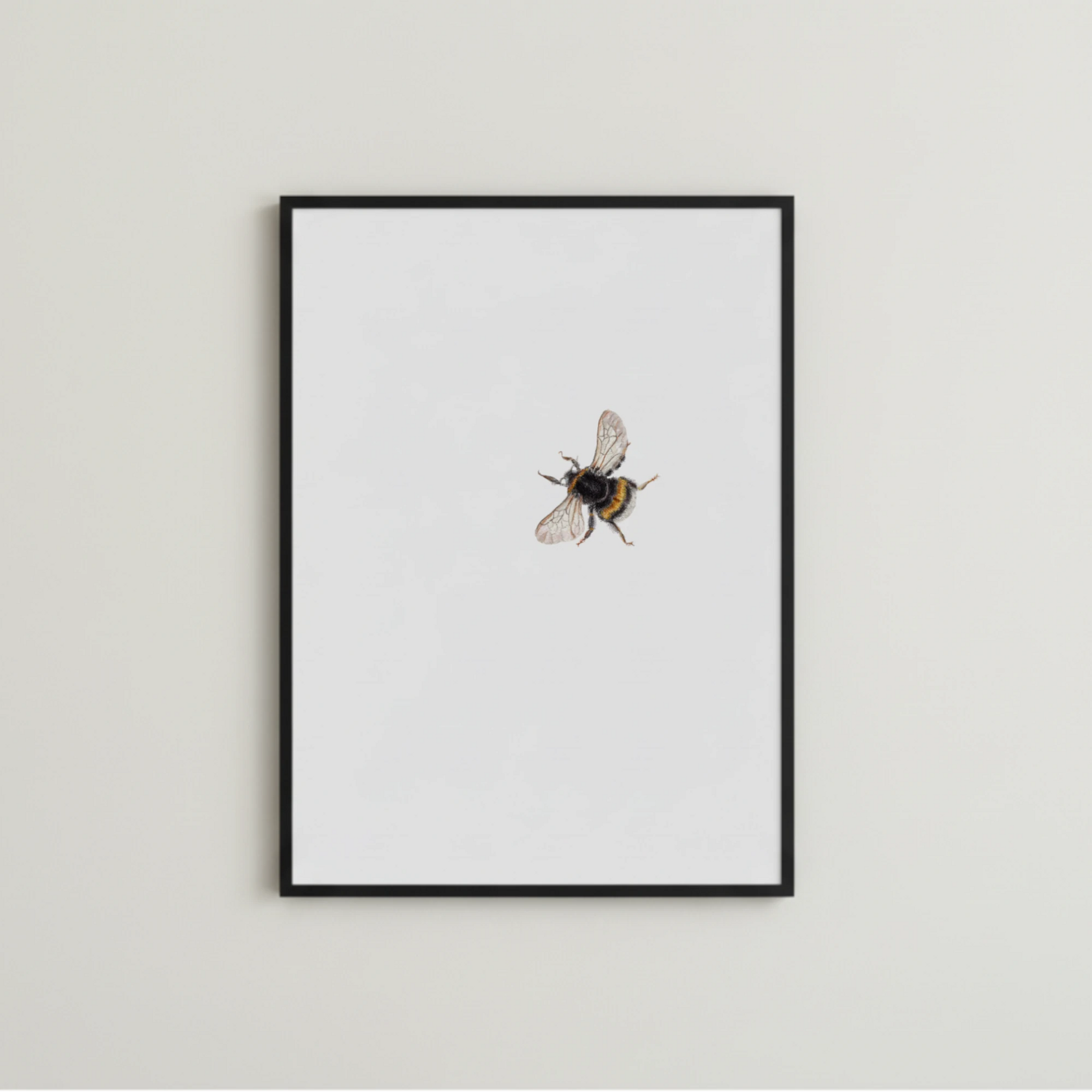 Hummel Aquarell handgemalt und als fine Art Print gerahmt
