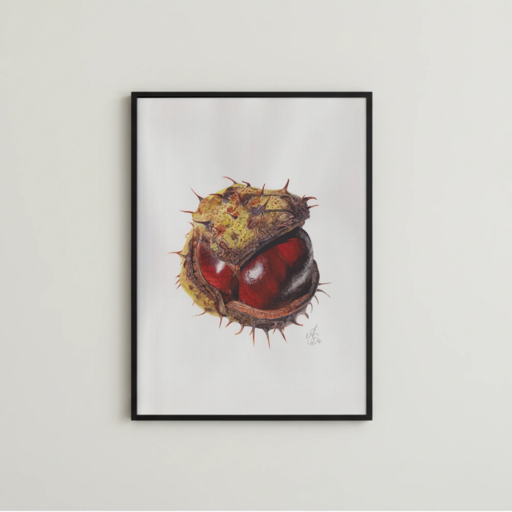 Handgemalte botanische Illustration einer Kastanie als Kunstdruck – Gesamtansicht