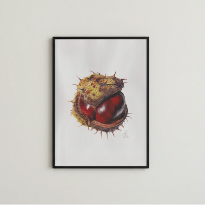 Handgemalte botanische Illustration einer Kastanie als Kunstdruck – Gesamtansicht