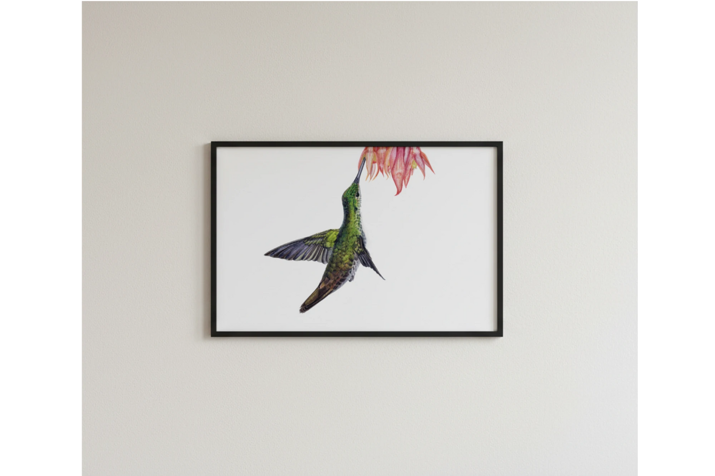 gerahmte zeichnung eines kolibris im flug