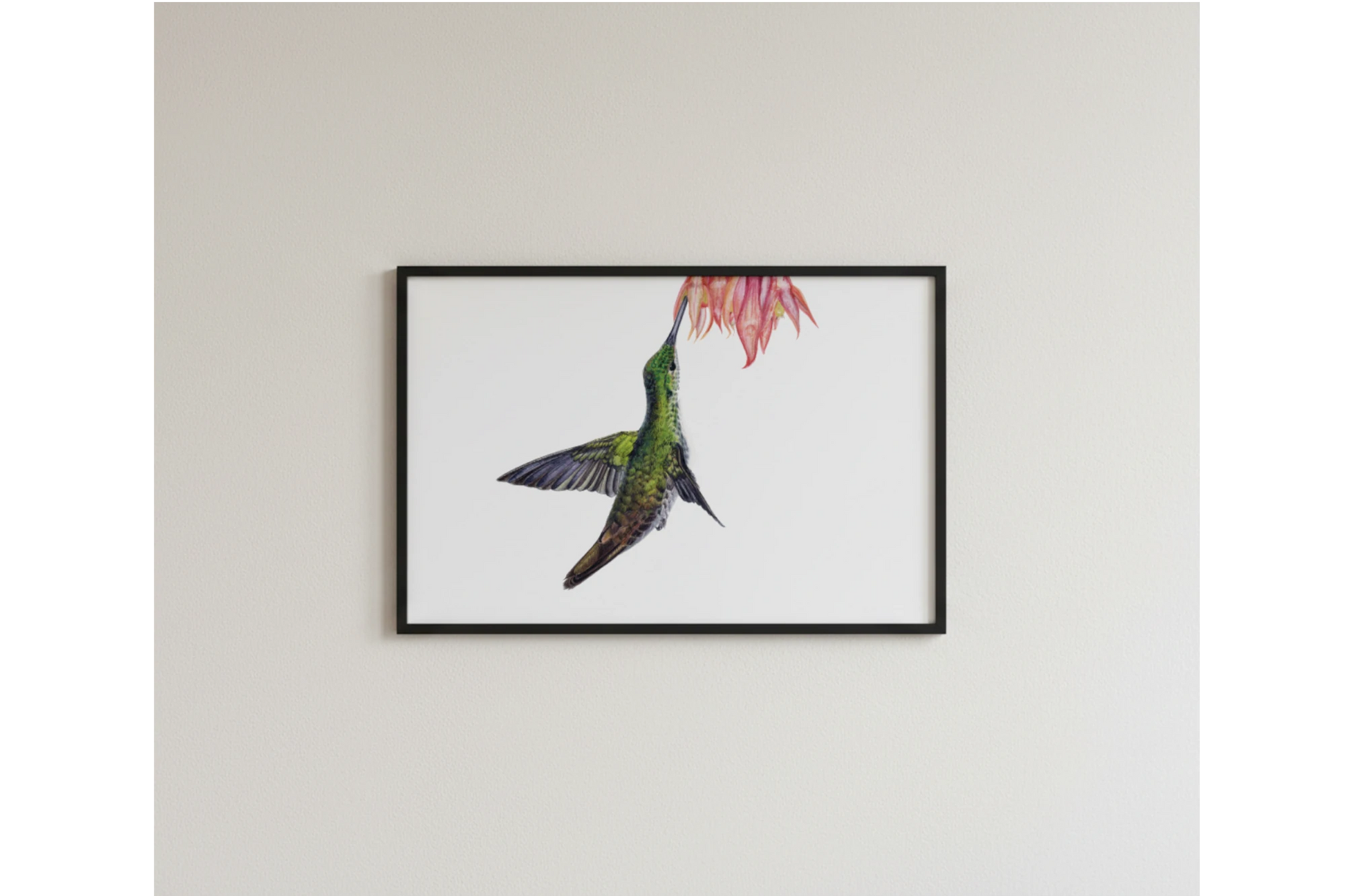 gerahmte zeichnung eines kolibris im flug