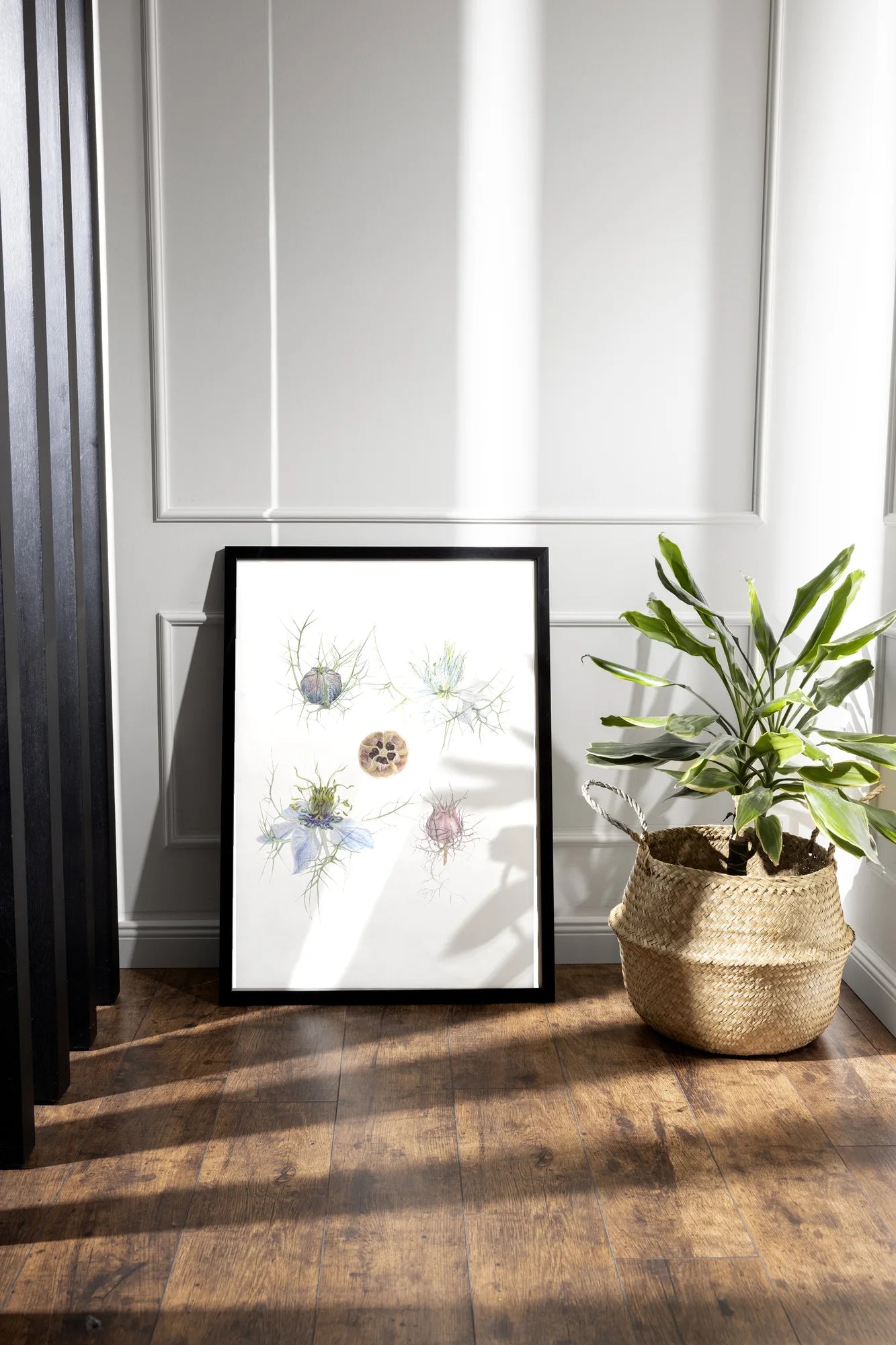 Jungfer im Grünen Kunstdruck im schwarzen Rahmen neben Zimmerpflanze auf Holzboden – Nigella damascena Fine Art Print | Animis