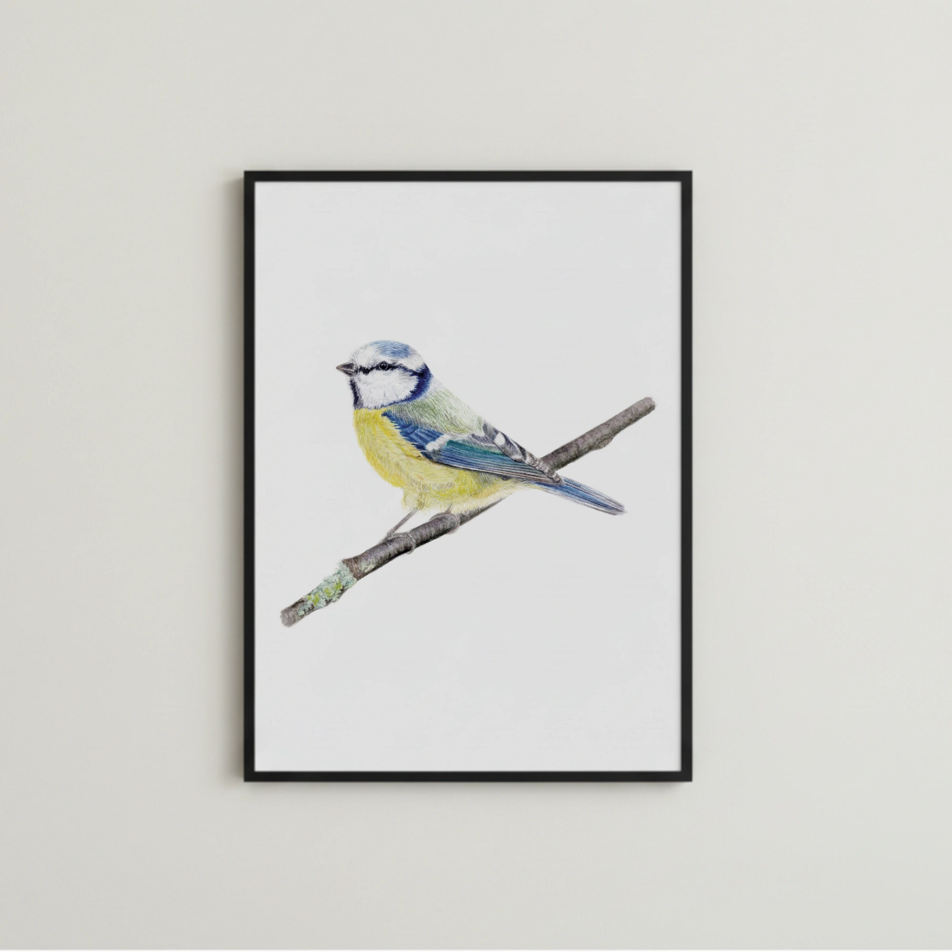 handgemalte Meise Aquarellillustration als Kunstdruck