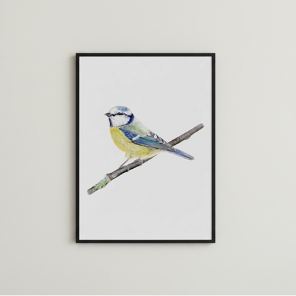 handgemalte Meise Aquarellillustration als Kunstdruck