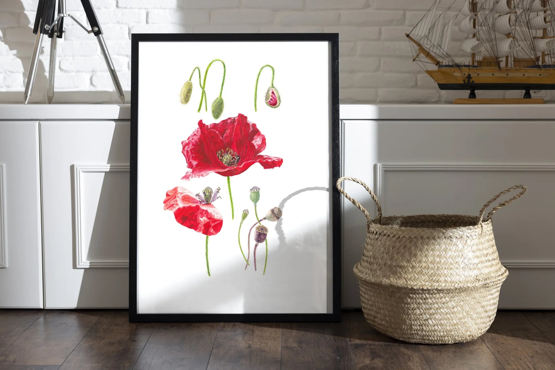Mohn Kunstdruck im schwarzen Rahmen auf Holzboden neben Weidenkorb – Aquarellillustration von Papaver rhoeas mit Blüten und Knospen | Animis