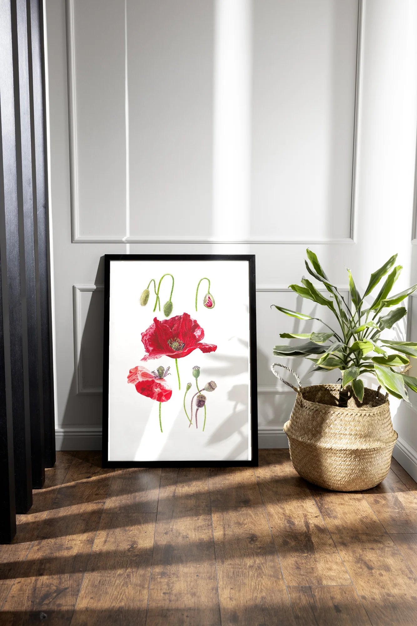 Mohn Kunstdruck im schwarzen Rahmen auf Holzboden neben Zimmerpflanze – Aquarellillustration von Papaver rhoeas mit Blüten und Knospen | Animis