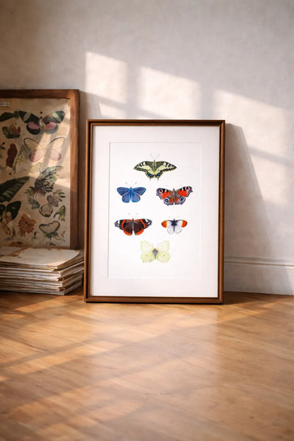 Schmetterlings Fine Art Druck gerahmt an eine Wand gelehnt