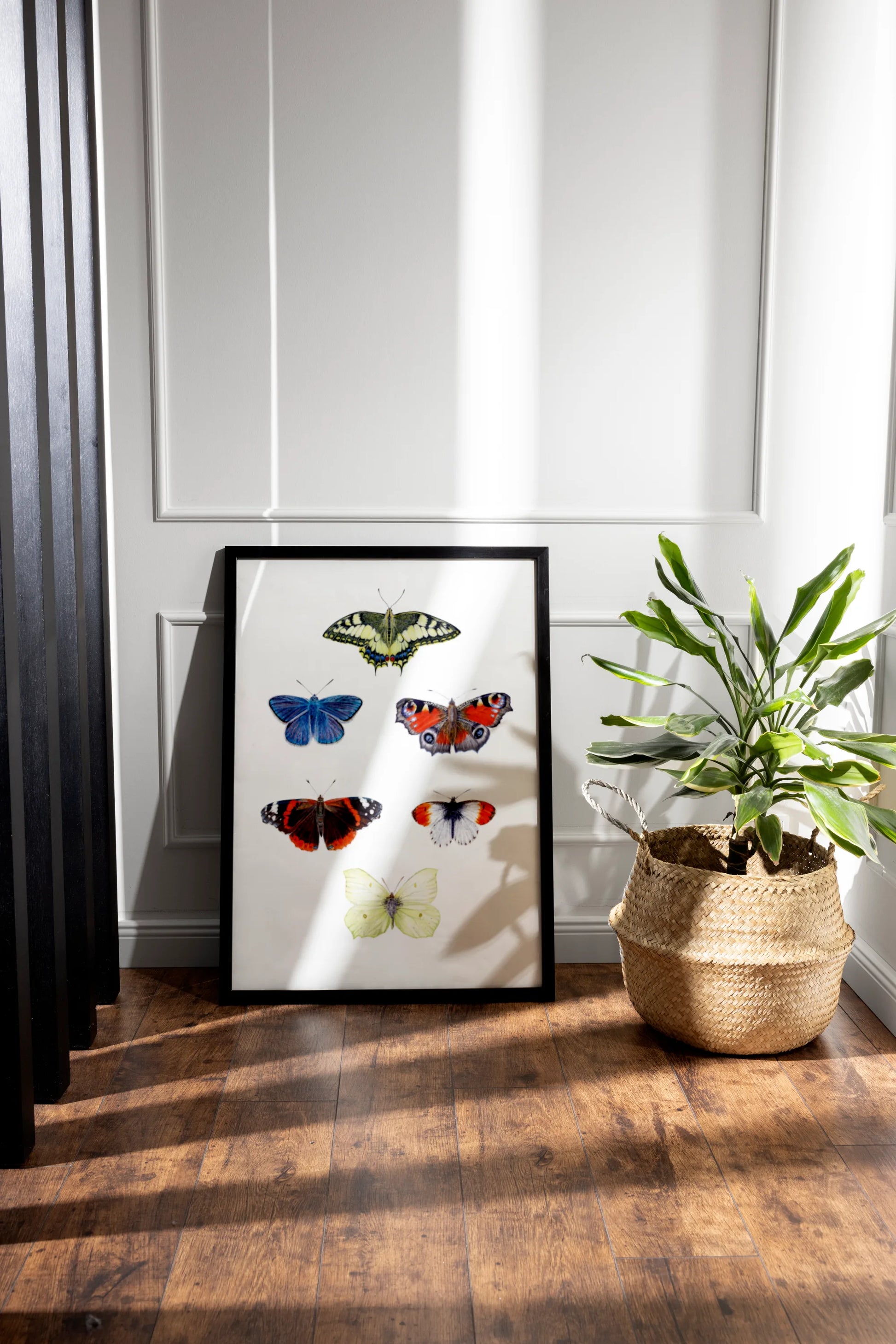Schmetterlings Kunstdruck gerahmt an eine Wand gelehnt