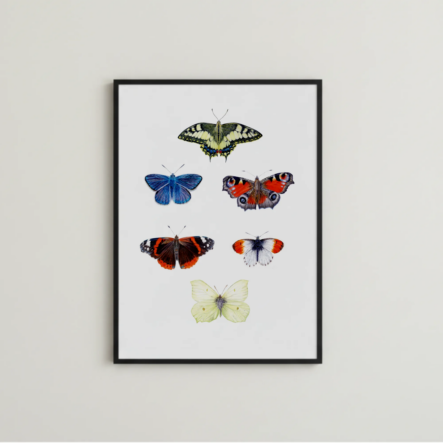 Schmetterlings Kunstdruck gerahmt 