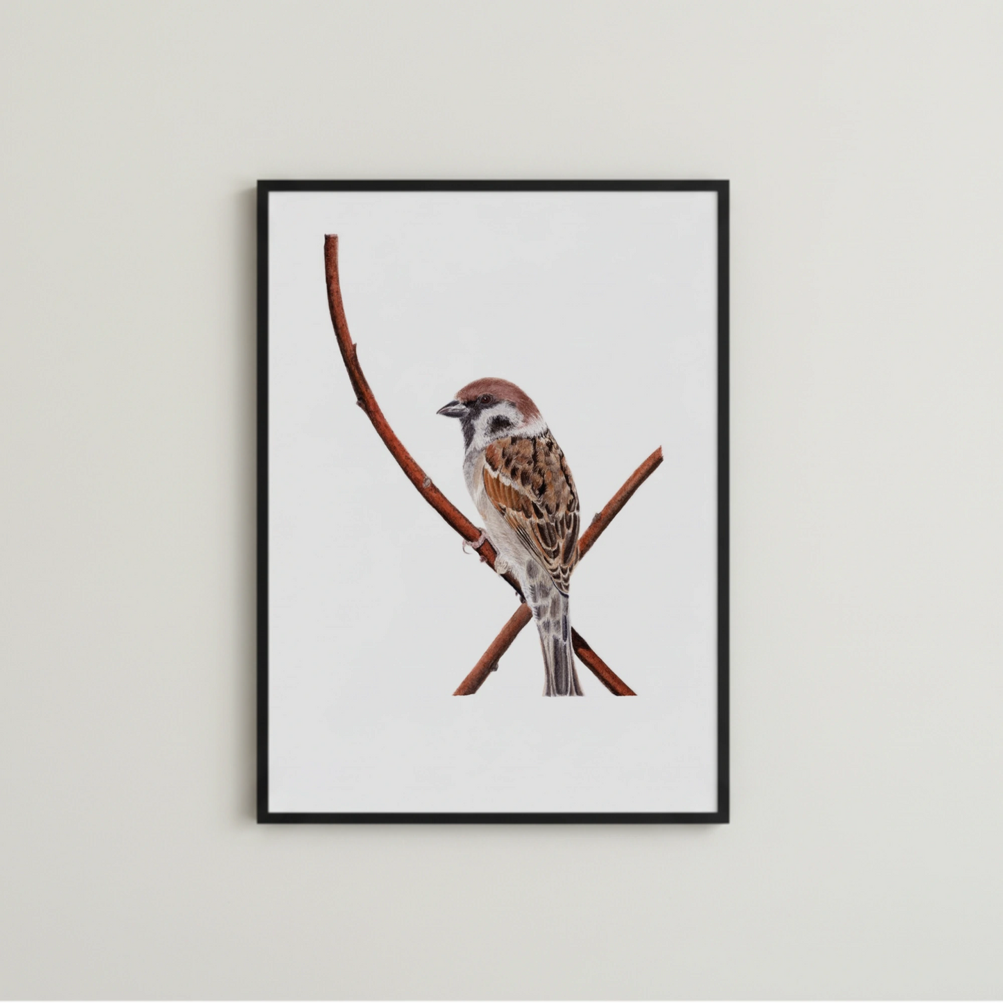 Spatz Illustration als Kunstdruck
