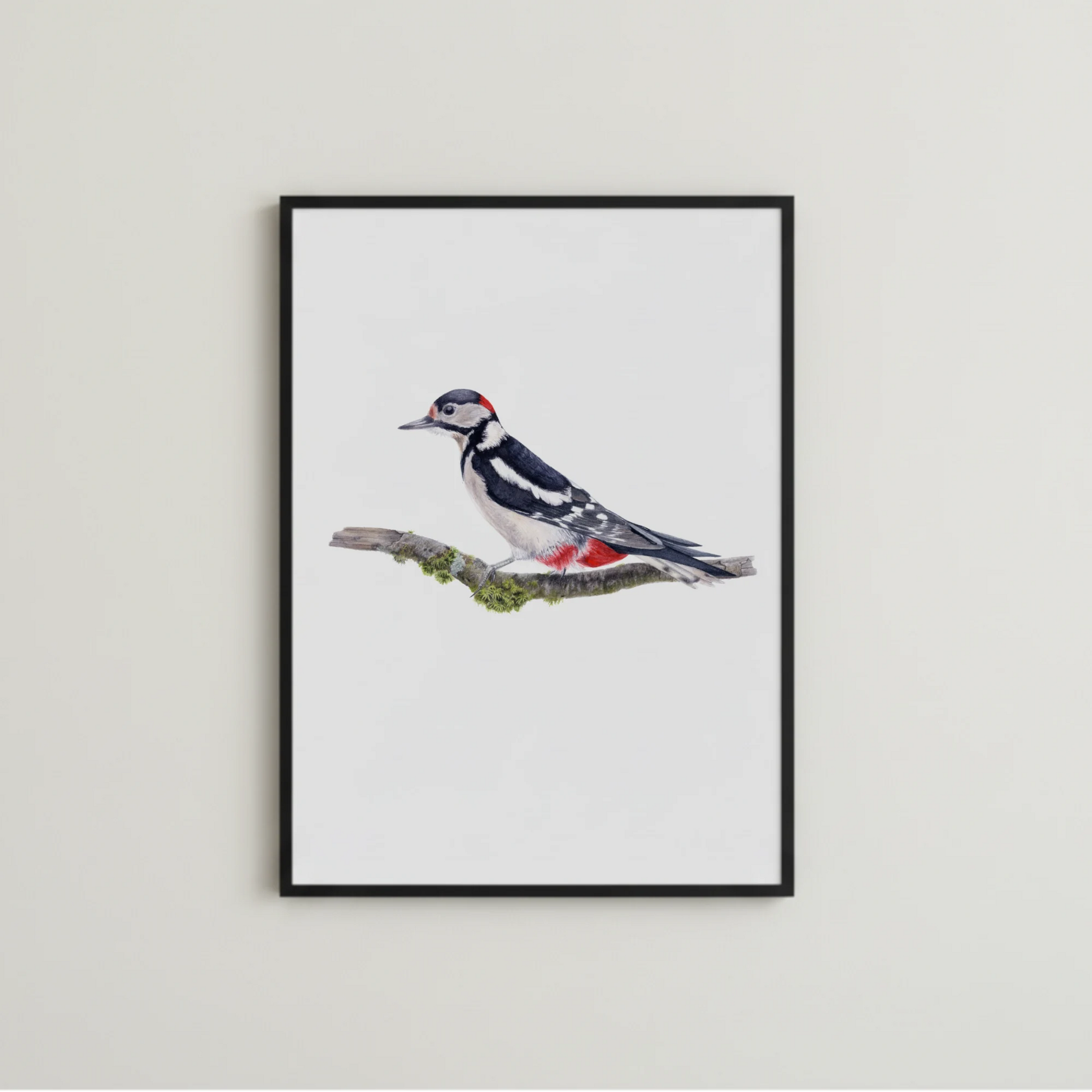 handegamelte Specht Illustration als Kunstdruck