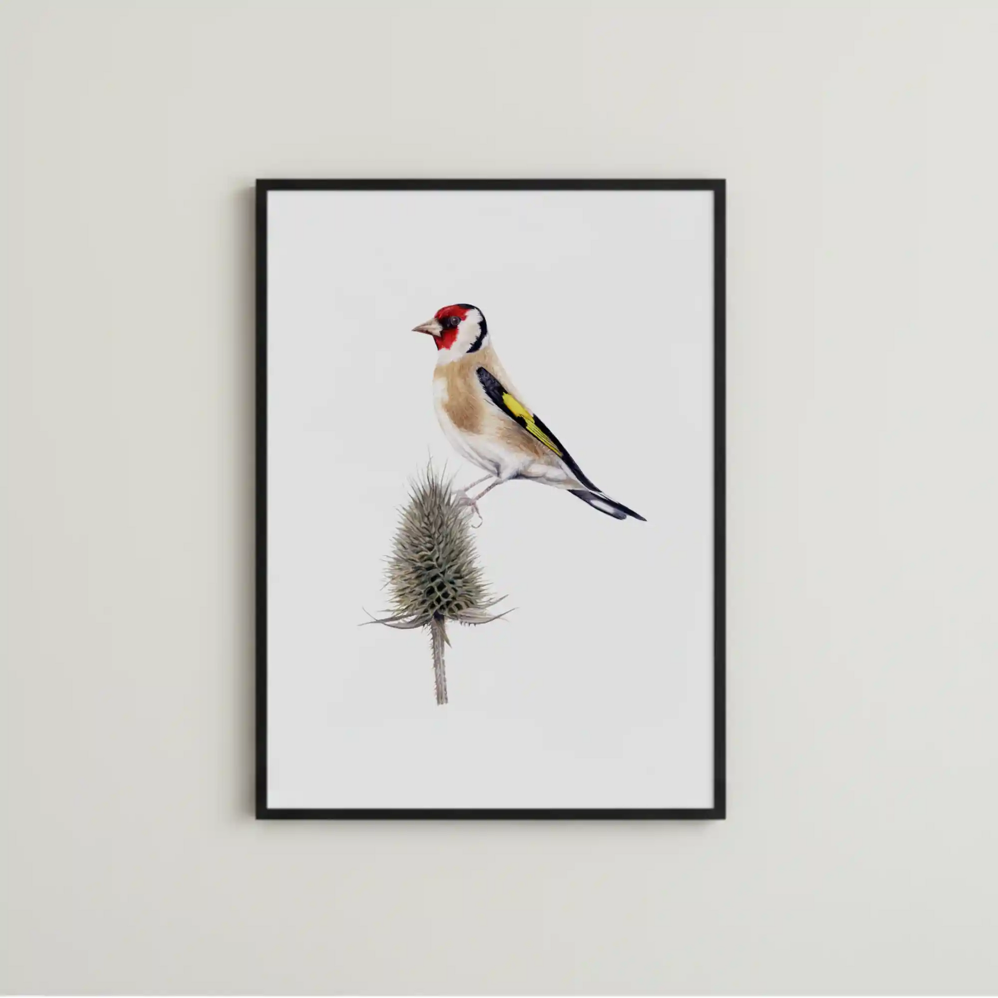 handgemalte VogelIllustration eines Diestelfinken als Kunstdruck