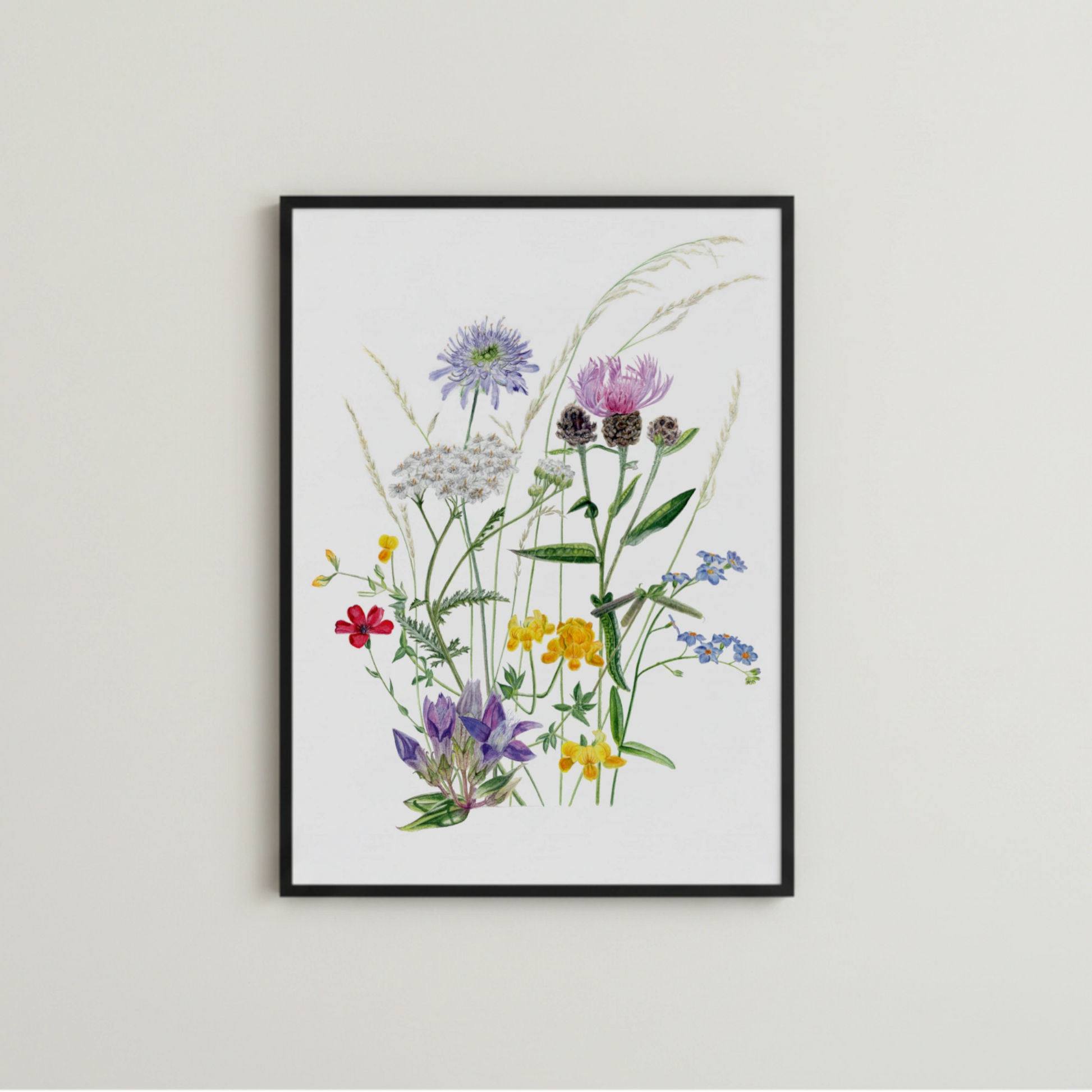 Handgemaltes Wiesenaquarell in einem schwarzen rahmen als Kunstdruck