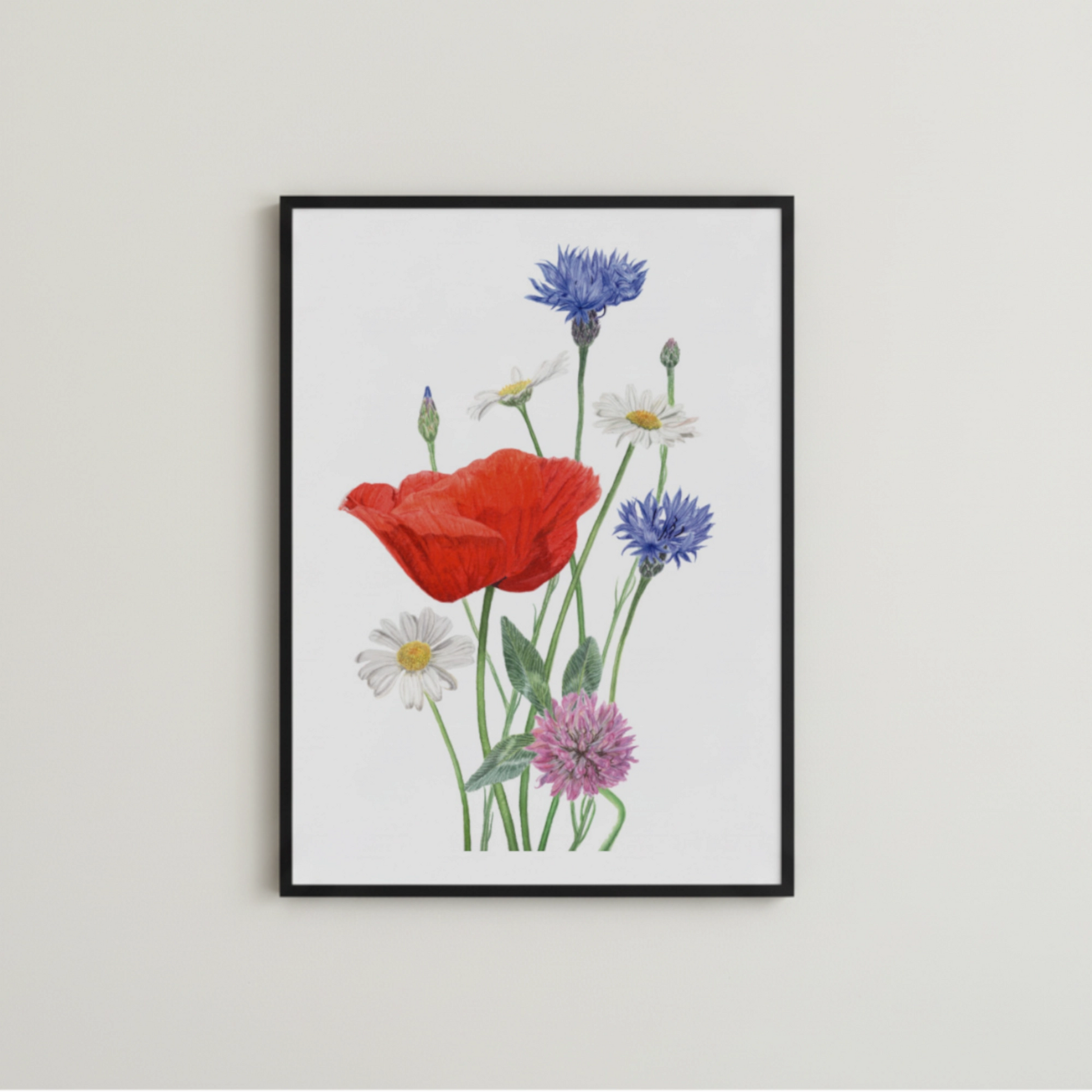 Botanische Illustration von bunten Sommerblumen in Aquarell gemalt und als Kunstdruck gerahmt