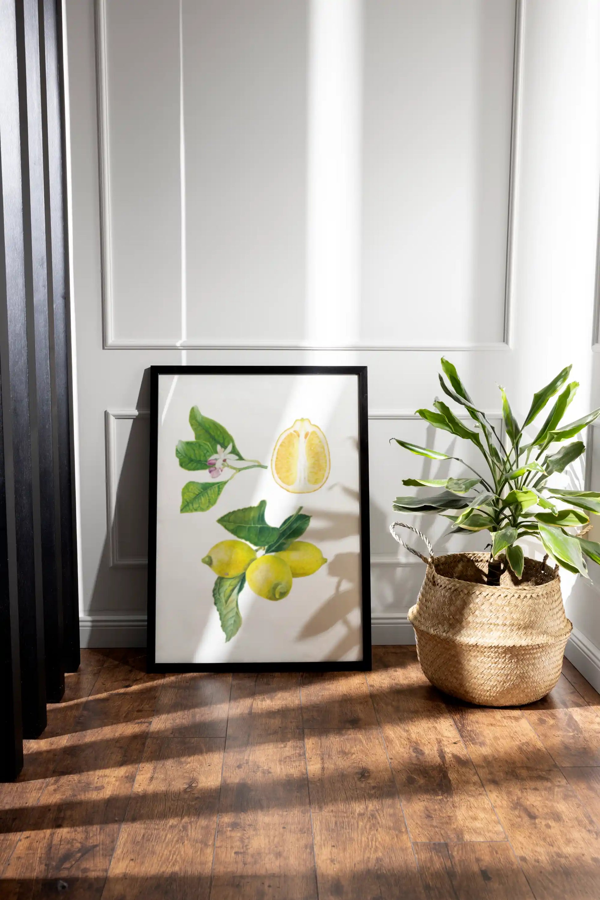 Zitronen botanische Illutration gerahmt als Kunstdruck